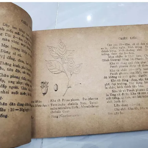 150 Cây Thuốc Nam Thường Dùng (Cũ Như Hình)