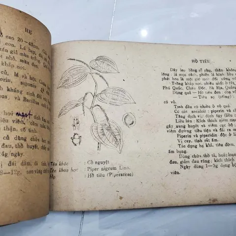 150 Cây Thuốc Nam Thường Dùng (Cũ Như Hình)