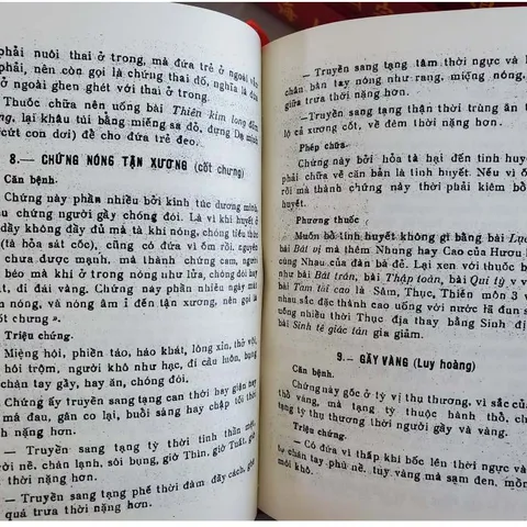 Hải Thượng Y Tôn Tâm Lĩnh – Bộ 5 Quyển