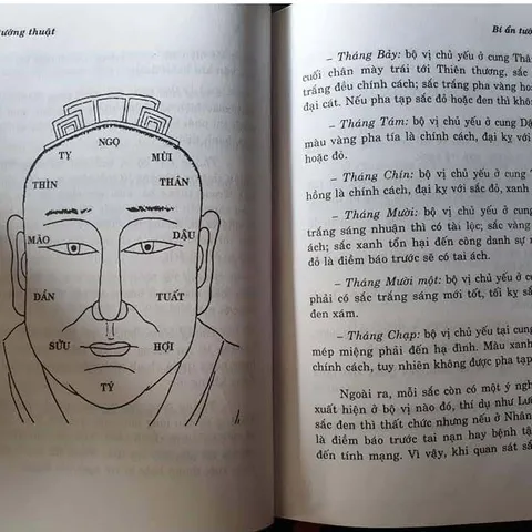Bí Ẩn Tướng Thuật – Nghiên Cứu Văn Hoá Truyền Thống