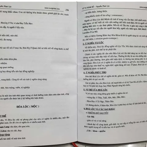Tử Vi Hàm Số (Cũ Như Hình)