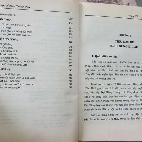 Trang Tử Trí Tuệ Của Tự Nhiên