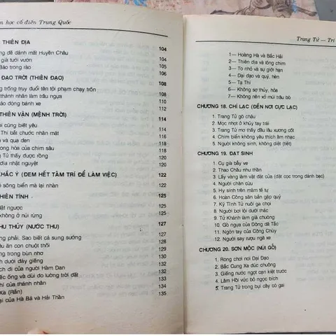 Trang Tử Trí Tuệ Của Tự Nhiên