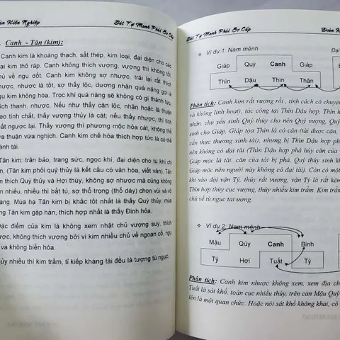 Bát Tự Manh Phái Mệnh Lý Sơ Cấp