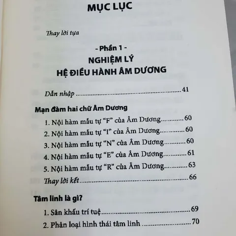 Linh Khu Thời Mệnh Lý (Tử Vi Nghiệm Lý Toàn Thư ) – Lê Hưng VKD