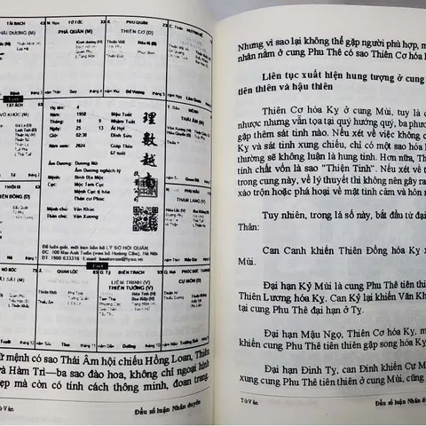 Đẩu Số Luận Nhân Duyên