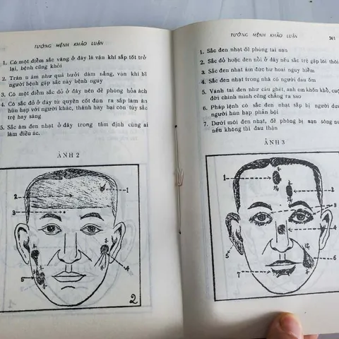 Tướng Mệnh Khảo Luận
