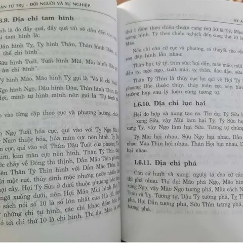 Dự Đoán Theo Tứ Trụ (Đời Người & Sự Nghiệp)