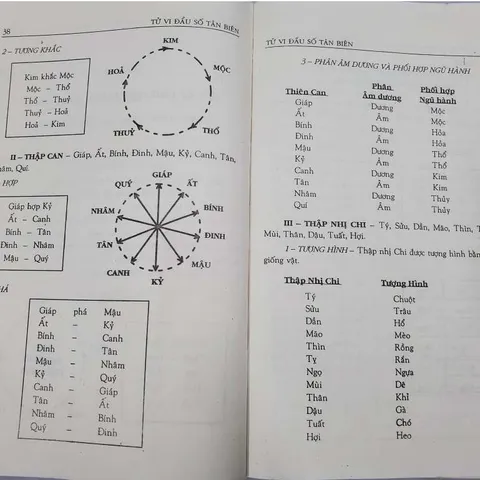 Tử Vi Đẩu Số – Tân Biên (Lập – Thành – Luận – Đoán)