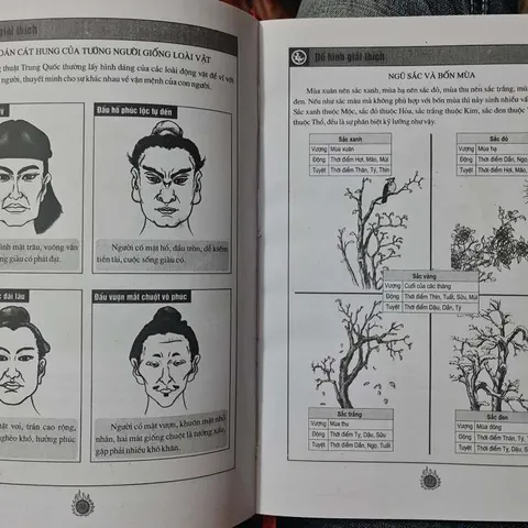 Tướng Mặt Ngũ Hành Giải Mệnh