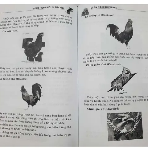 Bí Ẩn Điềm Chiêm Bao - Vương Trung Hiếu