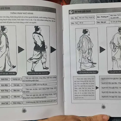 Tướng Mặt Ngũ Hành Giải Mệnh