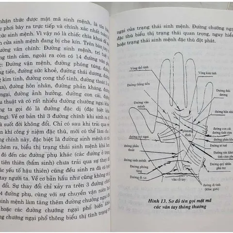Y Tướng Học Truyền Thống Phương Đông