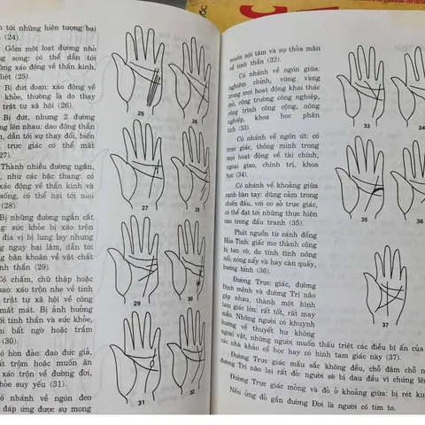 Tiếng Nói Của Bàn Tay – Nguyễn Đình Phúc