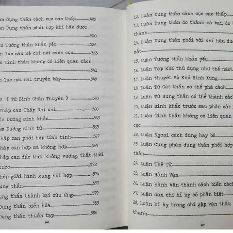 Tử Bình Chính Tông