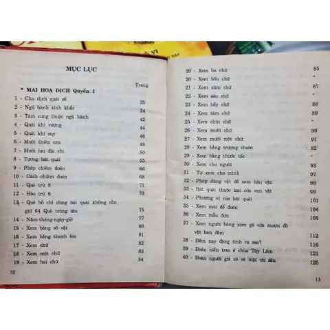 Mai Hoa Dịch – Thiệu Khang Tiết