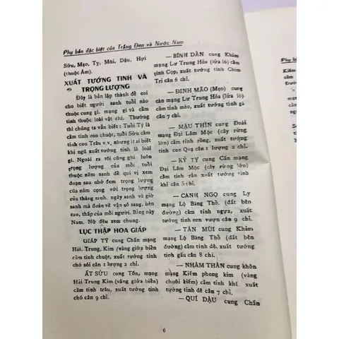 Cẩm Nang Tử Vi Trọn Đời (775 Trang) – Huỳnh Liên Tử