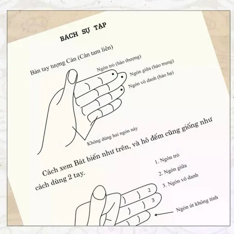 Bách Sự Tập (Đổng Công Trạch Nhật Yếu Lãm)