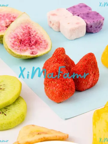 Trái Cấy Sấy Thăng Hoa Mix 14 Vị - Túi Hút Chân Không /Công Nghệ Sấy Hiện Đại