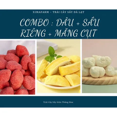 COMBO 3 Túi Trái Cây Sấy Giòn Dâu Đào Sầu Riêng Măng Cụt Kiwi Sung Thơm , Công Nghệ Sấy Thăng Hoa 881590