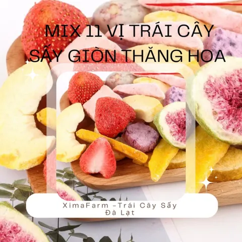 Trái cây Sấy Thăng Hoa Mix 10 Vị - Túi 500g