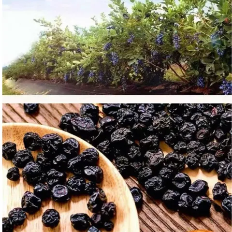 Việt Quất Sấy Dẻo ( Ít Ngọt,Chua Nhiều ) - Ximafarm – Snack Ăn Vặt Healthy – Dried Blueberry 881583