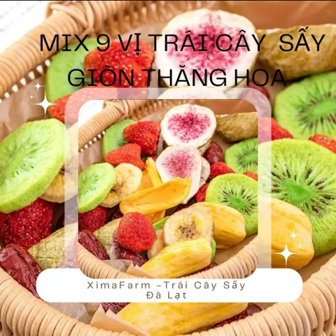 Trái Cây Sấy Thăng Hoa Mix 12 Vị Chua Ngọt ,Giòn Giòn.