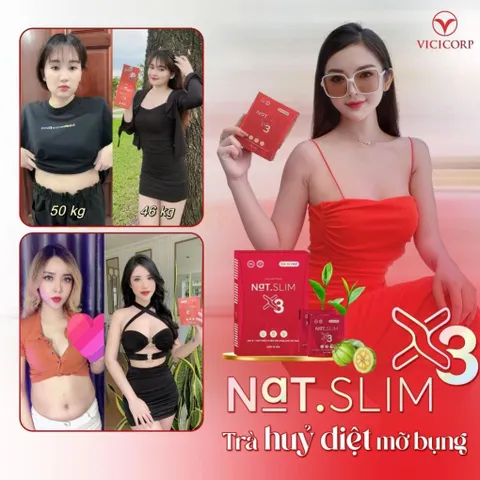 Giảm Cân Nat.Slim X3 Chính Hãng ViCiCorp, Nat Slim X3 Giảm Cân dành cho cơ địa khó giảm tặng kèm Detox