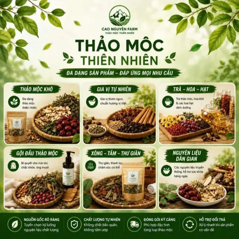 Bưởi Non Rừng Sấy Khô Thái Lát – Dùng Pha Trà, Detox, Hỗ Trợ Giảm Cân Hiệu Quả