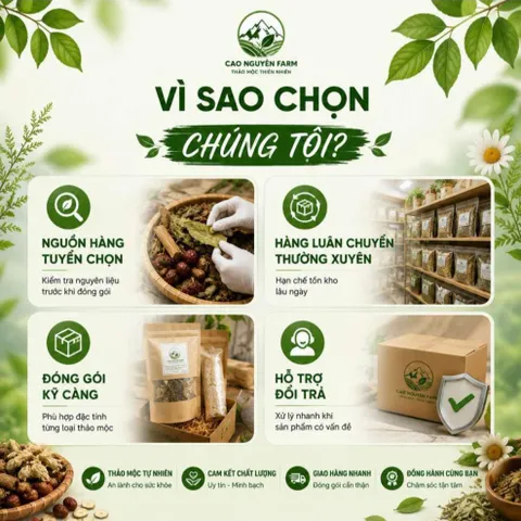 Bưởi Non Rừng Sấy Khô Thái Lát – Dùng Pha Trà, Detox, Hỗ Trợ Giảm Cân Hiệu Quả