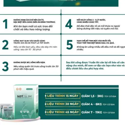 Giảm cân Nat Slim chính hãng Vicicorp (Natslim & Nat.slim x3)