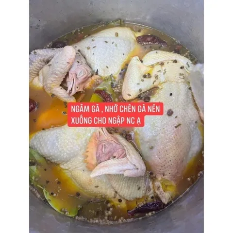 Sỉ Gia vị gà ủ muối hoa tiêu ủ 3-4 con gà chuẩn vị thơm ngon- gói 300g