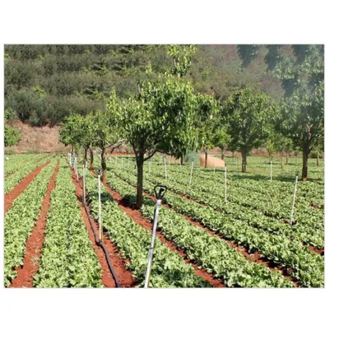 Béc phun nước có ren kèm - béc phun sương tự động xoay 360 độ
