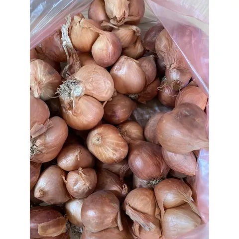 1 Kg hành khô ta thơm ngon chắc củ 882831