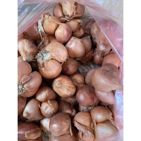1 Kg hành khô ta thơm ngon chắc củ 882831