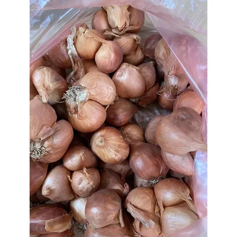 1 Kg hành khô ta thơm ngon chắc củ 882831