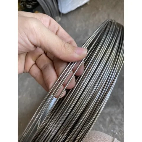 10 Mét Dây thép inox 201 loại 3 li - Dây thép sáng bóng không rỉ