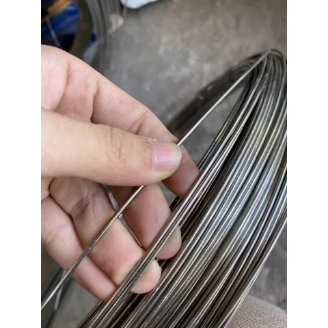 10 Mét Dây thép inox 201 loại 3 li - Dây thép sáng bóng không rỉ