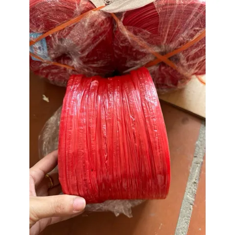 10 cuộn dây nilong, dây khâu, dây dứa buộc hàng màu đỏ