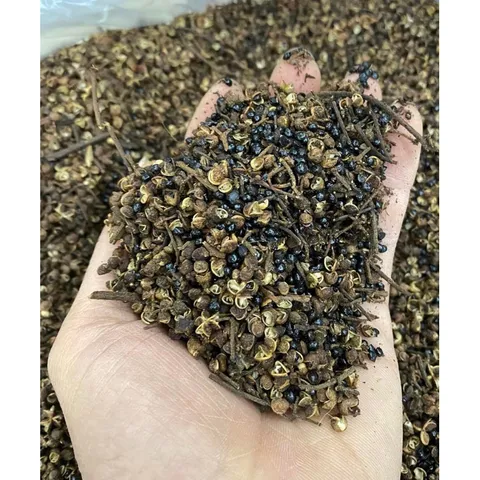 100gram Hạt mắc kén rừng Tây Bắc - Hạt mắc kén thơm ngon làm gia vị