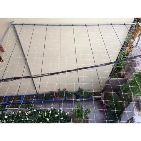 10 Mét cao 4 mét lưới giàn leo cho cây bầu bí… mắt lưới 13cm