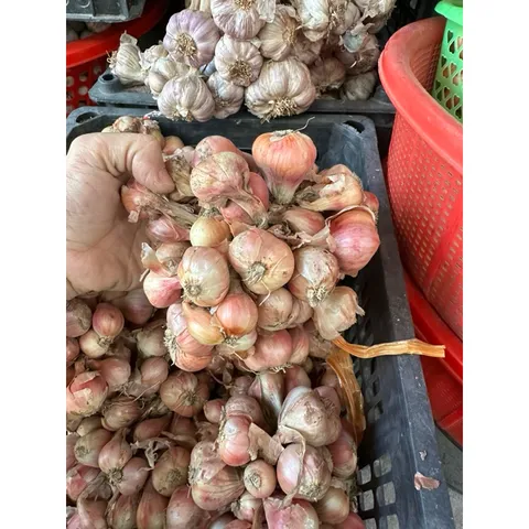 1Kg hành khô ta củ to chắc củ thơm ngon- hàng chọn lọc 884129
