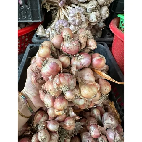 1Kg hành khô ta củ to chắc củ thơm ngon- hàng chọn lọc 884129