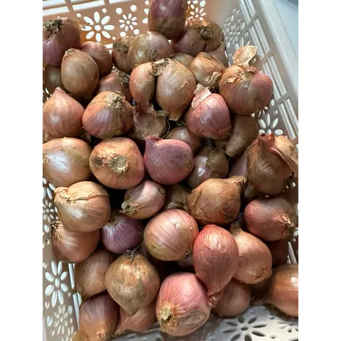 1Kg hành khô ta củ to chắc củ thơm ngon- hàng chọn lọc 884129