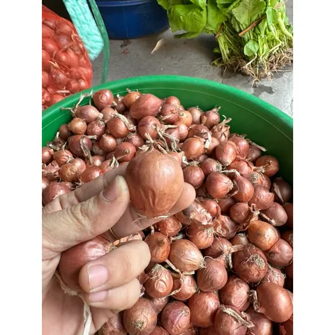 1Kg Hành khô - Hành khô 1 nhánh, hành cô đơn chọn lọc
