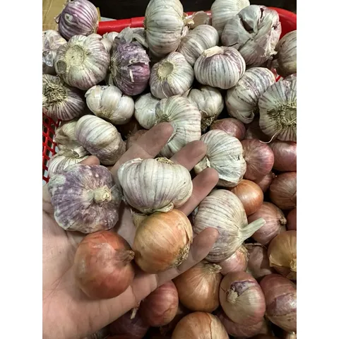 1 Kg hành tỏi củ to - Hành cô đơn, tỏi củ to chắc củ