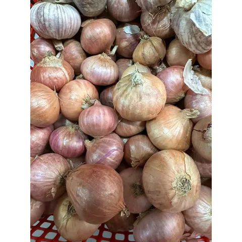 1 Kg hành tỏi củ to - Hành cô đơn, tỏi củ to chắc củ
