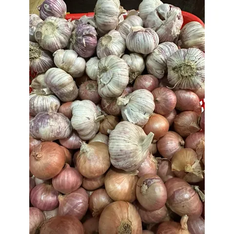 1 Kg hành tỏi củ to - Hành cô đơn, tỏi củ to chắc củ