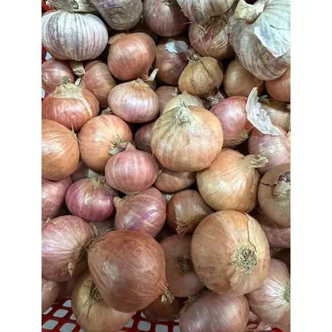 1 Kg hành tỏi củ to - Hành cô đơn, tỏi củ to chắc củ