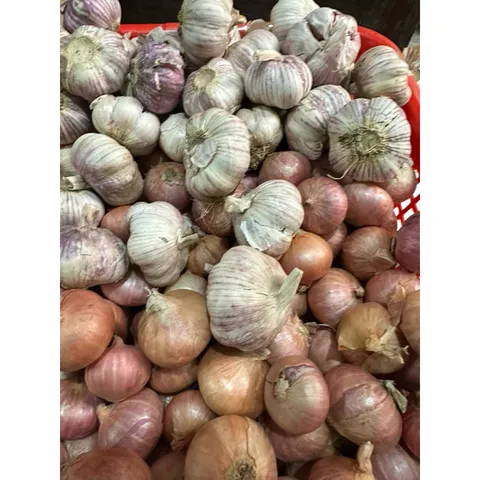 1 Kg hành tỏi củ to - Hành cô đơn, tỏi củ to chắc củ